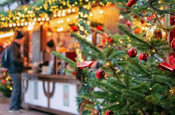 Тур в Карпаты